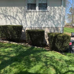 Bush Trimming by Patriot’s Property Services LLC reviewed on April 22, 2026