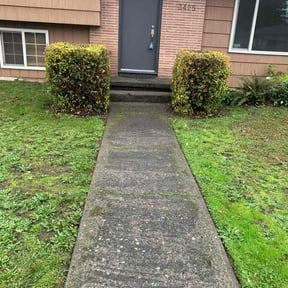 Bush Trimming by Michelle&#039;s Lawn Care reviewed on December 1, 2025