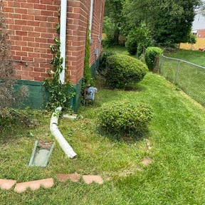 Bush Trimming by Supreme Home Services reviewed on August 16, 2025