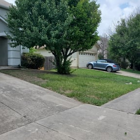 Bush Trimming by All Things In&amp;Out Home&amp;Lawn reviewed on November 19, 2025