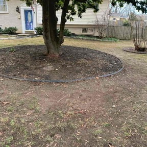 Leaf Removal by Bandala's Landscaping and Gardening Service reviewed on January 21, 2026