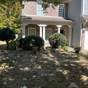 Bush Trimming by Mahan lawn care  reviewed on October 24, 2025