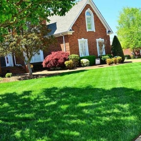 yard work by Lybrand's Lawn Maintenance reviewed on August 16, 2025