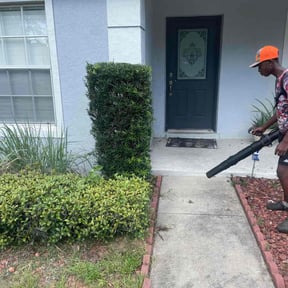 Bush Trimming by Lawn n order landscaping and tree service reviewed on October 20, 2026