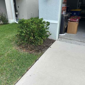 Flower Bed Weeding by Cape Mobile Suds reviewed on November 9, 2025