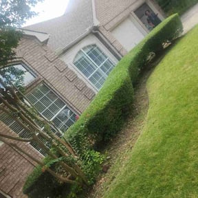 Bush Trimming by Keep it green reviewed on November 22, 2025