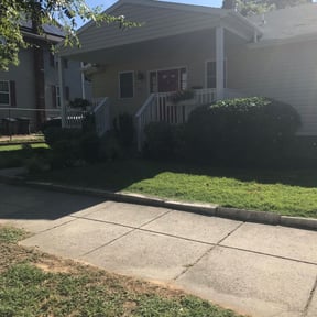 Bush Trimming by Discount Mowing reviewed on February 17, 2026