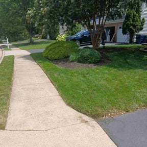 gardening service by True Lawn and Tree Care reviewed on August 18, 2025