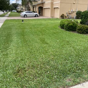 yard work by Norris landscaping reviewed on August 17, 2025