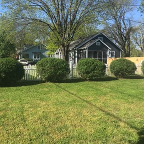 Bush Trimming by K&D Elite Services reviewed on August 16, 2025