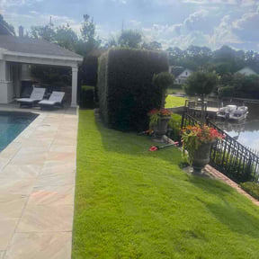 Bush Trimming by MoPro Lawn Care reviewed on July 22, 2026