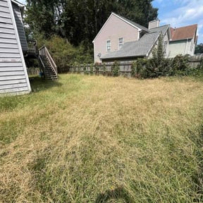 Bush Trimming by JBI Property Service LLC reviewed on October 19, 2025