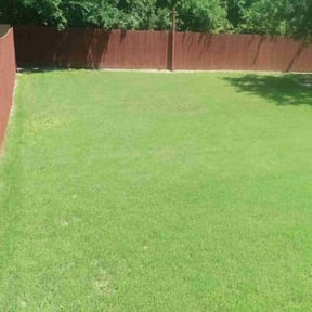residential landscaping by Daniel's lawn care service LLC reviewed on August 21, 2025