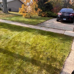 Leaf Removal by Hugheslandscaping reviewed on November 19, 2025