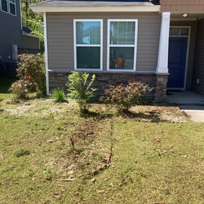 Bush Trimming by Strike Force (Main) reviewed on August 18, 2025