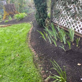 landscaping services by The Right Guy reviewed on August 16, 2025