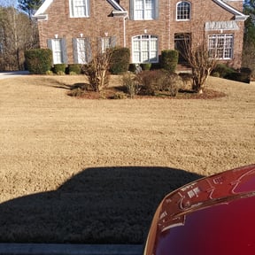 Bush Trimming by Friendly Lawn Services reviewed on August 19, 2025