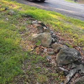 Leaf Removal by The Williams reviewed on September 11, 2025