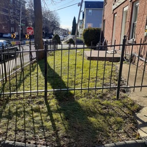 Leaf Removal by Lion's Landscaping reviewed on October 2, 2025