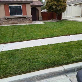 yard maintenance by Big Star Landscaping &amp; Pest LLC reviewed on August 21, 2025