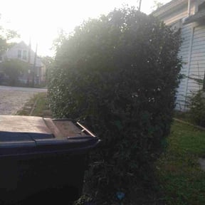 Bush Trimming by Nick's Lawn Care reviewed on August 20, 2025