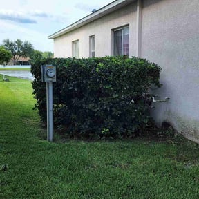 Bush Trimming by JJ Yard Mulching Co. reviewed on August 16, 2025