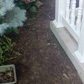 Flower Bed Weeding by WD Home Improvement Solutions llc reviewed on October 18, 2025