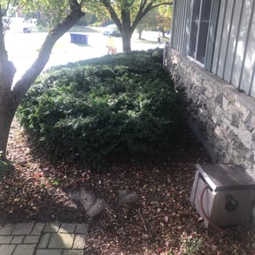 Bush Trimming by OV Lawncare reviewed on August 21, 2025