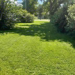 yard maintenance by Gingers construction cleanup reviewed on August 18, 2025