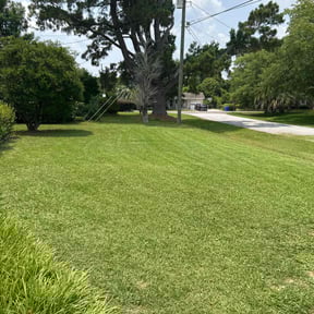 yard maintenance by Great Work reviewed on August 17, 2025