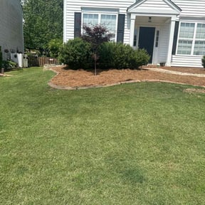 grass cutting by Spring lawn care reviewed on August 18, 2025