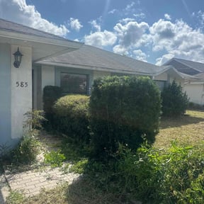 Bush Trimming by N.A.L Landscaping and Services LLC reviewed on October 23, 2025