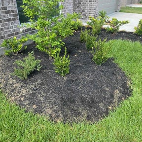 Flower Bed Weeding by Ejay Enterprises reviewed on September 13, 2026