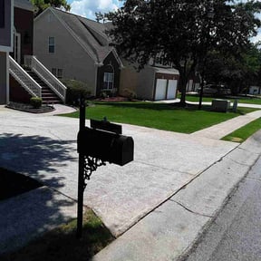lawn care by K&G Trees and landscaping reviewed on April 26, 2019