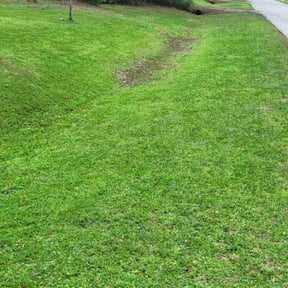 landscaping by Legit Lawn Care Plus reviewed on November 22, 2025