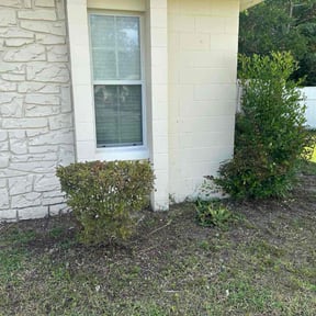 lawn care by The Cutting Edge reviewed on July 24, 2025