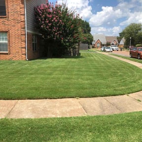 yard maintenance by MemphisMadeLawnCare reviewed on August 20, 2025