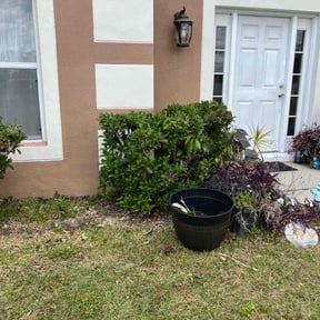 Bush Trimming by MVP Lawn & Landscaping reviewed on August 14, 2025