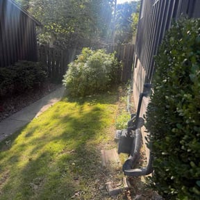 Flower Bed Weeding by JJ Yard Mulching Co. reviewed on October 18, 2025