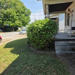 Bush Trimming by Scott's Landscaping And Pool Service reviewed on December 31, 2025