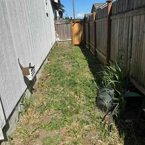 Bush Trimming by Lawn Rescue reviewed on June 20, 2026