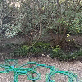 Leaf Removal by Lockwood Lawn Maintenance reviewed on October 3, 2025