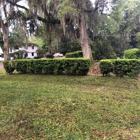 Bush Trimming by Underwood Outdoors reviewed on August 19, 2025