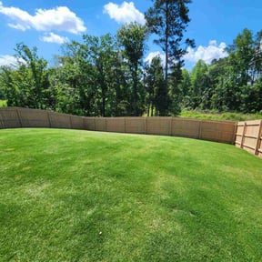 yard maintenance by Ken's Lawn Care reviewed on August 15, 2025