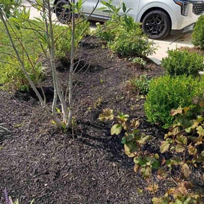 Flower Bed Weeding by Trappers services reviewed on August 16, 2026