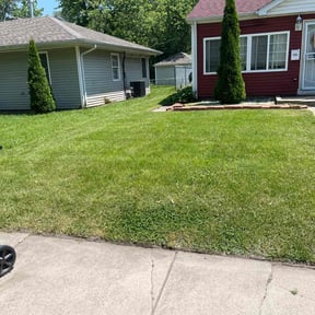 yard work by Lawn Surgeon reviewed on August 20, 2025