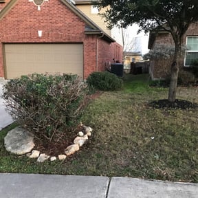 Bush Trimming by Kelsie&#039;s lawn pros reviewed on November 18, 2025
