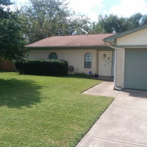 Bush Trimming by Lawn Care reviewed on August 15, 2025