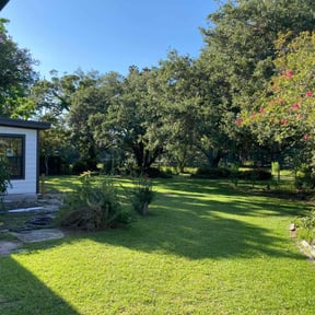 landscaping by A2Z Lawn Maintenance Inc. reviewed on August 17, 2025