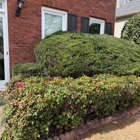 Bush Trimming by His Kingdom Services reviewed on March 11, 2026